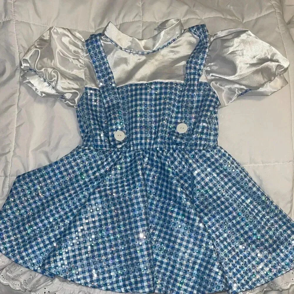Dorothy Costume from Wizard of Oz - Size Small
